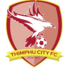廷布FC 廷布FC